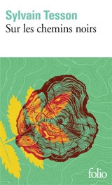 Sur les chemins noirs - Sylvain Tesson
