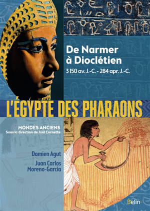 L'Egypte des pharaons : de Narmer à Dioclétien : 3150 av. J.-C.-284 apr. J.-C. - Damien Agut-Labordère