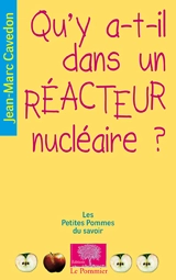 Qu'y a-t-il dans un réacteur nucléaire ? - Jean-Marc Cavedon