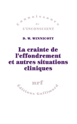 La crainte de l'effondrement et autres situations cliniques - Donald Woods Winnicott