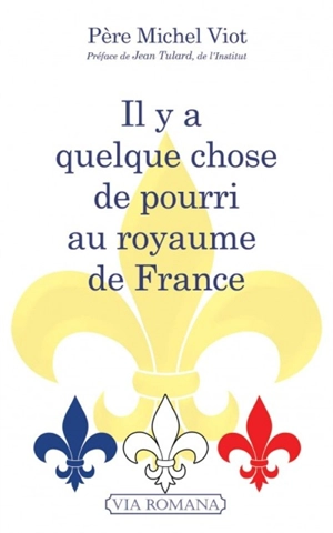 Il y a quelque chose de pourri au royaume de France - Michel Viot