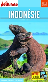 Indonésie : 2019-2020 - Dominique Auzias