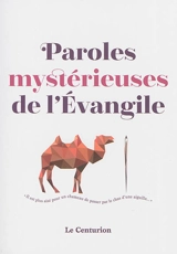 Paroles mystérieuses de l'Evangile - Monique Piettre