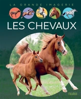 Les chevaux - Agnès Vandewiele