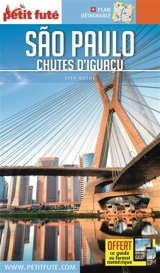 Sao Paulo : chutes d'Iguaçu - Dominique Auzias