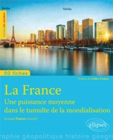 La France : une puissance moyenne dans la mondialisation
