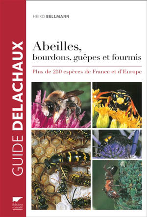 Abeilles, bourdons, guêpes et fourmis : plus de 250 espèces de France et d'Europe - Heiko Bellmann