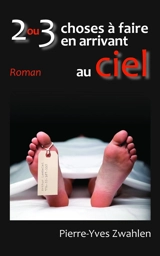 2 ou 3 choses à faire en arrivant au ciel - Pierre-Yves Zwahlen