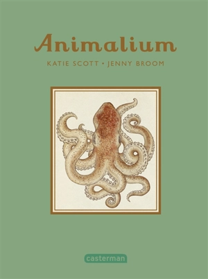 Animalium - Jenny Broom
