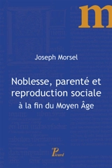 Noblesse, parenté et reproduction sociale à la fin du Moyen Age - Joseph Morsel