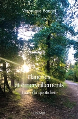 Flâneries et émerveillements : Luxe du quotidien - Véronique Bonnet