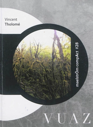 Vuaz - Vincent Tholomé