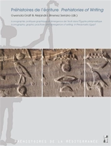 Préhistoires de l'écriture : iconographie, pratiques graphiques et émergence de l'écrit dans l'Egypte prédynastique. Prehistories of writing : iconography, graphic practices and emergence of writing in Predynastic Egypt
