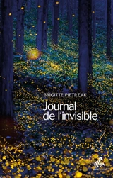 Journal de l'invisible - Brigitte Pietrzak