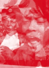 Ecrits politiques sur le cinéma et autres arts filmiques. Manifestations - Nicole Brenez