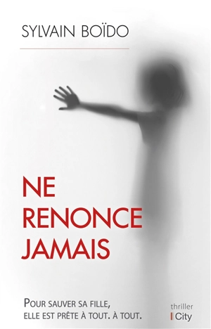 Ne renonce jamais - Sylvain Boïdo