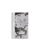 Ni cygne ni lune : oeuvres tchèques, 1950-2014, don de la collection de Claude et Henri de Saint Pierre : exposition, Paris, Musée national d'art moderne, du 7 octobre 2020 au 1er février 2021. Neither swan nor moon : Czech art from the collection of