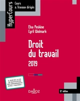 Droit du travail : 2019 - Elsa Peskine