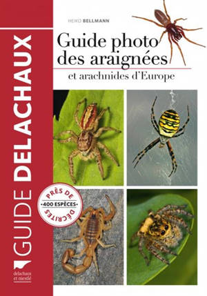 Guide photo des araignées et arachnides d'Europe : près de 400 espèces décrites - Heiko Bellmann
