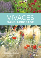 Vivaces sans arrosage : 40 idées de massifs, les plus belles plantes vivaces pour les situations sèches et ensoleillées - Matic Sever
