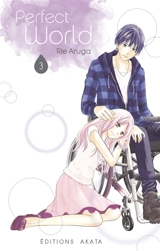 Perfect world. Vol. 3 - Rie Aruga
