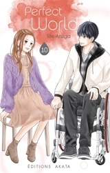 Perfect world. Vol. 10 - Rie Aruga