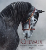 Chevaux : hommage à la plus belle conquête de l'homme