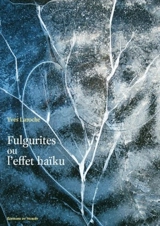 Fulgurites, ou, l'effet haïku - Yves Laroche