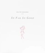 Walter Swennen : so far so good