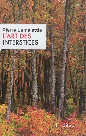 L'art des interstices - Pierre Lamalattie