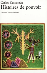 Histoires de pouvoir - Carlos Castaneda