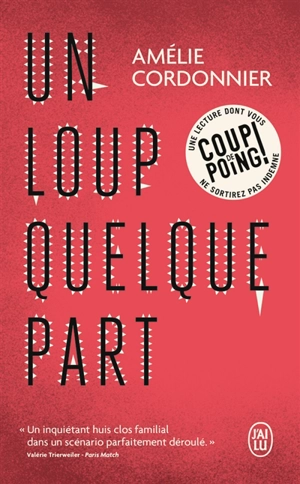 Un loup quelque part - Amélie Cordonnier