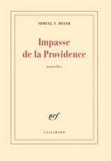 Impasse de la providence. Jours de fête - Shmuel T. Meyer