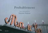 Probablement - Vincent Delerm