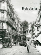 Blois d'antan à travers la carte postale ancienne - Bruno Guignard