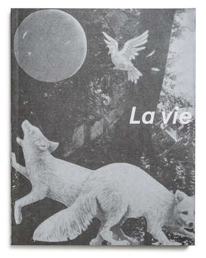 La vie immédiate - Sandra Rocha