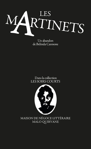 Les martinets - Belinda Cannone