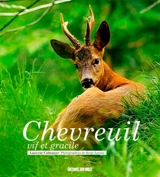 Chevreuil : vif et gracile - Laurent Cabanau
