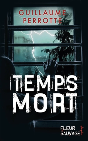 Temps mort - Guillaume Perrotte