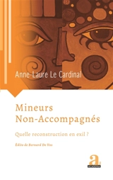 Mineurs non-accompagnés : quelle reconstruction en exil ? - Anne-Laure Le Cardinal
