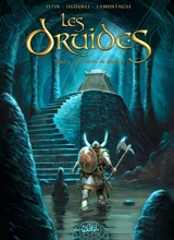 Les druides. Vol. 5. La pierre de destinée - Jean-Luc Istin