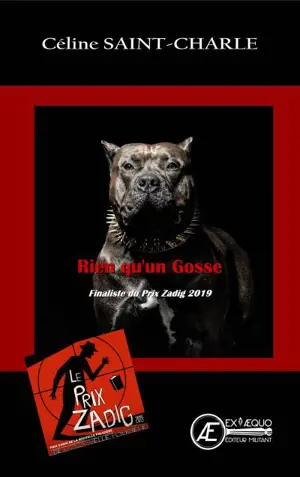 Rien qu'un gosse - Céline Saint-Charle