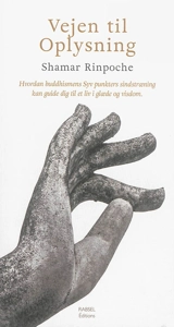 Vejen til Oplysning : Hvordan buddhismens Syv punkts sindstroening kan guide dig til et liv i gloede og visdom - Shamar