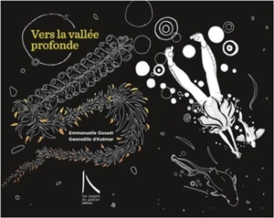 Vers la vallée profonde - Emmanuelle Ousset