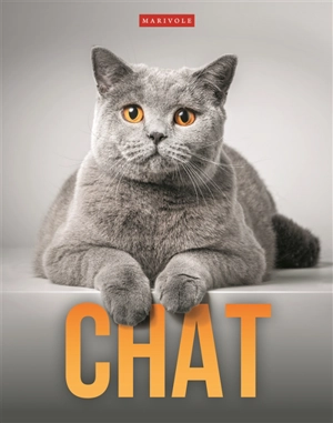 Chat - Delphine Gay