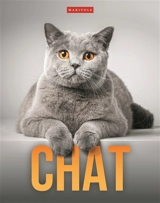 Chat - Delphine Gay