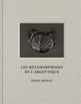 Les métamorphoses de l'argentique - Denis Brihat