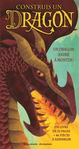 Construis un dragon - Dugald Steer