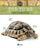 Les tortues terrestres - Gerti Keller