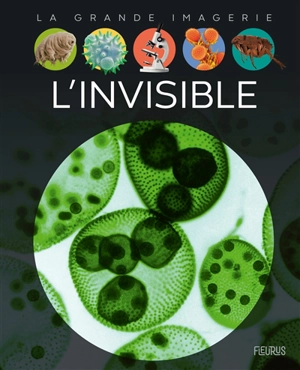 L'invisible - Christine Sagnier